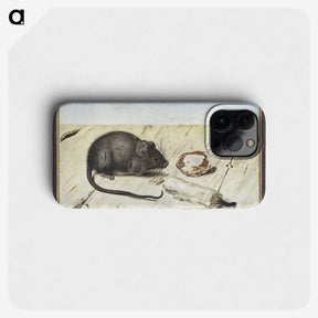 1-30_Joris-Hoefnagel_phone
