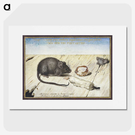 1-30_Joris-Hoefnagel_picture