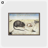 1-30_Joris-Hoefnagel_postcard