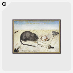 1-30_Joris-Hoefnagel_postcard