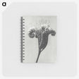 1-30_Karl-Blossfeldt_memo