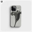 1-30_Karl-Blossfeldt_phone