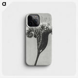 1-30_Karl-Blossfeldt_phone