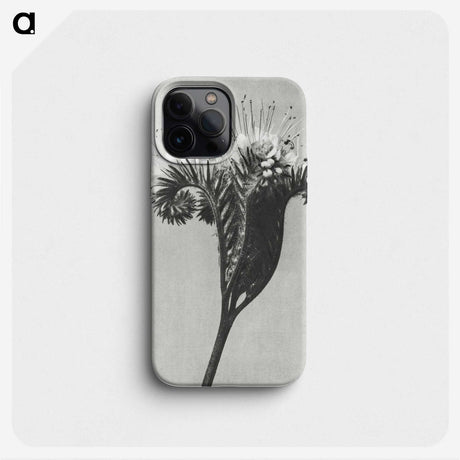 1-30_Karl-Blossfeldt_phone