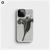 Phacelia tanacetifolia - Karl Blossfeldt Phone Case.