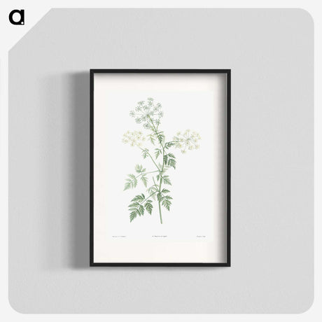 1-30_La-Botanique_blk