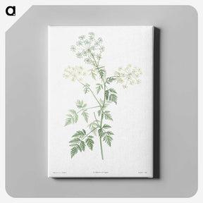 1-30_La-Botanique_canvas
