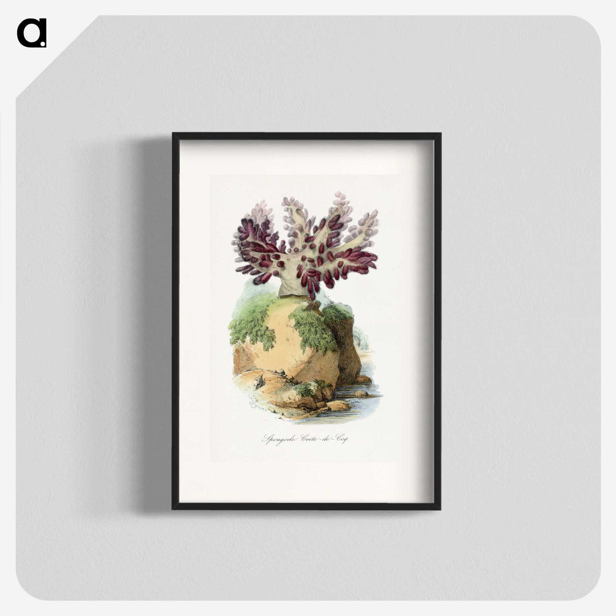 1-30_Le-Jardin-des-Plantes_blk
