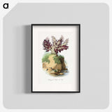1-30_Le-Jardin-des-Plantes_blk