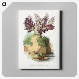 1-30_Le-Jardin-des-Plantes_canvas
