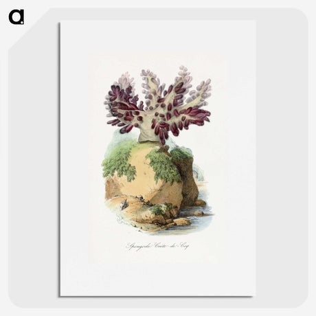 1-30_Le-Jardin-des-Plantes_picture