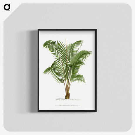 1-30_Les-Palmiers-Histoire-Iconographique_blk-crop
