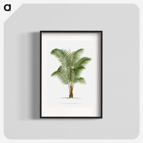 1-30_Les-Palmiers-Histoire-Iconographique_blk