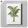 1-30_Les-Palmiers-Histoire-Iconographique_canvas