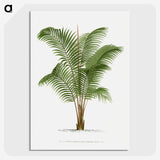 1-30_Les-Palmiers-Histoire-Iconographique_picture-crop