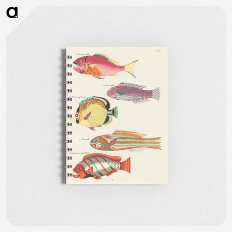 アートメモ帳-Moluccan Fishes
 - ルイ ルナール Memo.