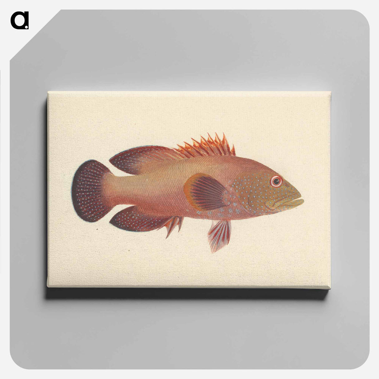 アートパネル-Unidentified Fish
 - ルイージ バルガーニ Canvas.