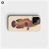 Unidentified Fish
 - ルイージ バルガーニ Phone Case.