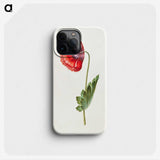 1-30_Maria-Sibylla-Merian_phone