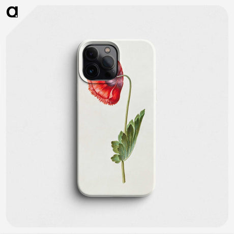 1-30_Maria-Sibylla-Merian_phone
