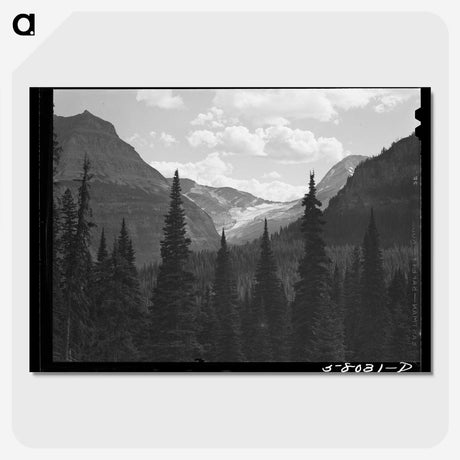 1-30_Marion-Post-Wolcott_picture-crop