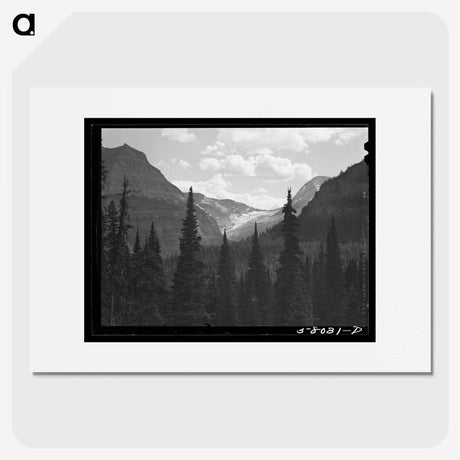 1-30_Marion-Post-Wolcott_picture
