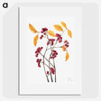 1-30_Mary-Vaux-Walcott_picture