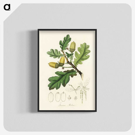 1-30_Medical-Botany_blk-crop