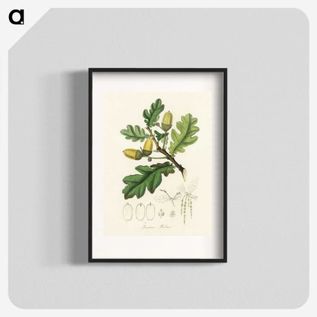1-30_Medical-Botany_blk