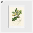 1-30_Medical-Botany_hagaki