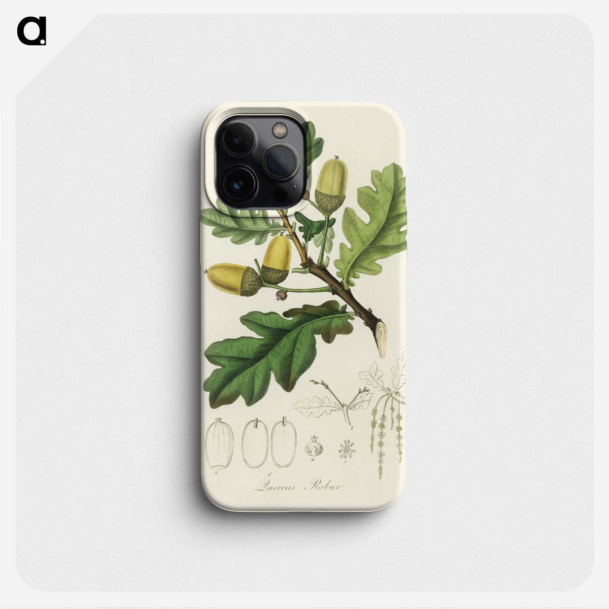 1-30_Medical-Botany_phone