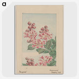 1-30_Megata-Morikaga_picture-crop