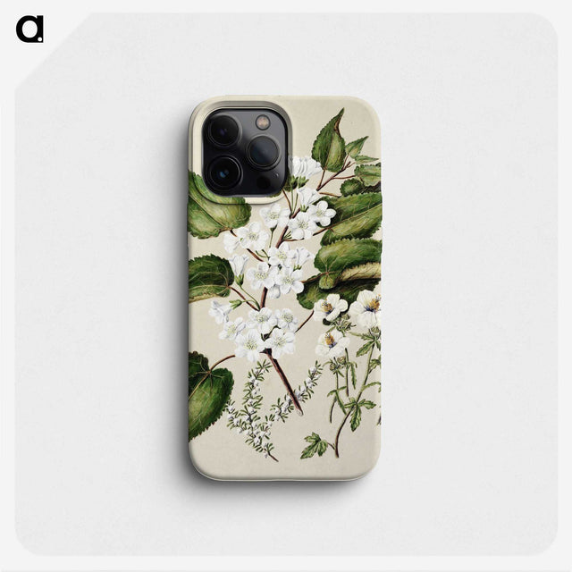 1-30_Native-Flowering-Plants-of-New-Zealand_phone
