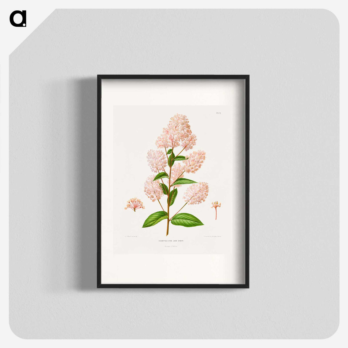 1-30_Nederlandsche-Flora-en-Pomona_blk