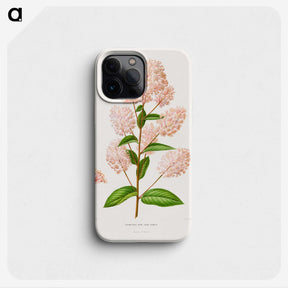1-30_Nederlandsche-Flora-en-Pomona_phone