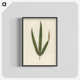 1-30_New-and-Rare-Beautiful-Leaved-Plants_blk-crop