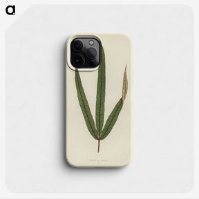1-30_New-and-Rare-Beautiful-Leaved-Plants_phone