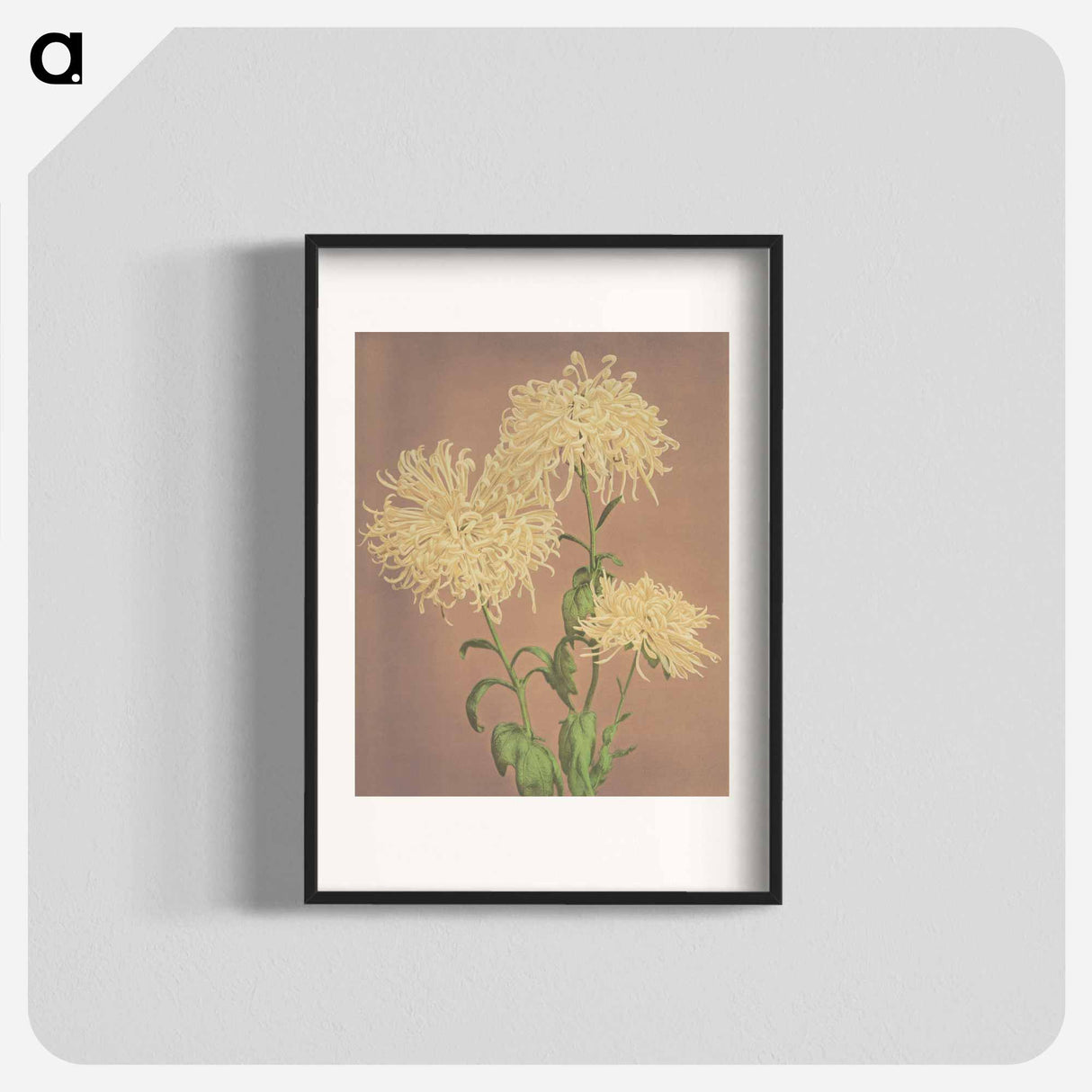 Three Yellow Chrysanthemums - 小川 一正 Poster.