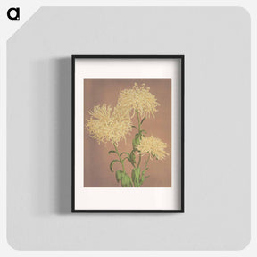 アートポスター-Three Yellow Chrysanthemums - 小川 一正 Poster.