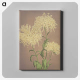 1-30_Ogawa-Kazumasa_canvas