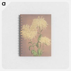 アートメモ帳-Three Yellow Chrysanthemums - 小川 一正 Memo.
