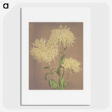 1-30_Ogawa-Kazumasa_picture