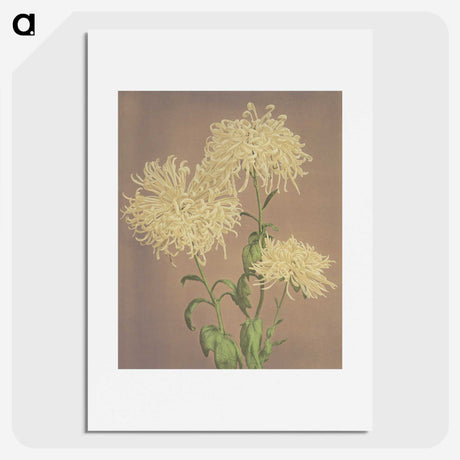 1-30_Ogawa-Kazumasa_picture