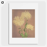 Three Yellow Chrysanthemums - 小川 一正 Poster.