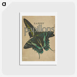 1-30_Papillons_hagaki