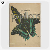 1-30_Papillons_picture-crop