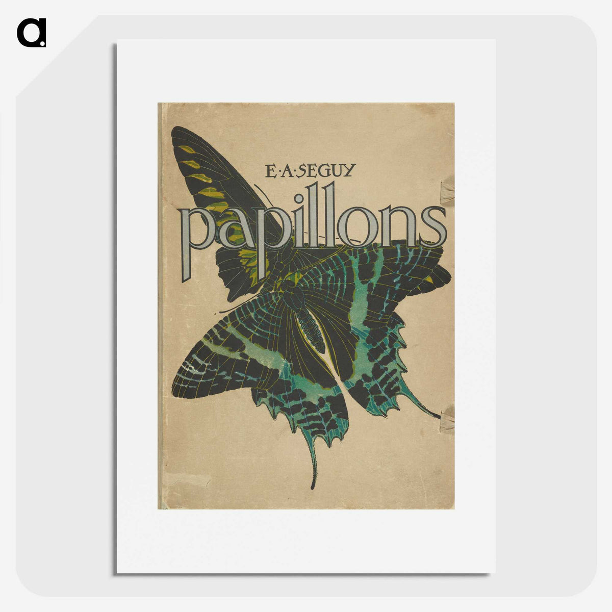 1-30_Papillons_picture