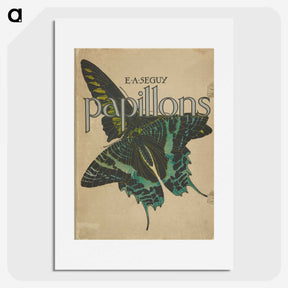 1-30_Papillons_picture