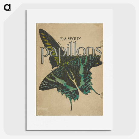 1-30_Papillons_picture