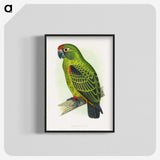 1-30_Parrots-in-Captivity_blk-crop